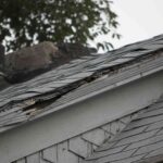 Common Roof Problems?