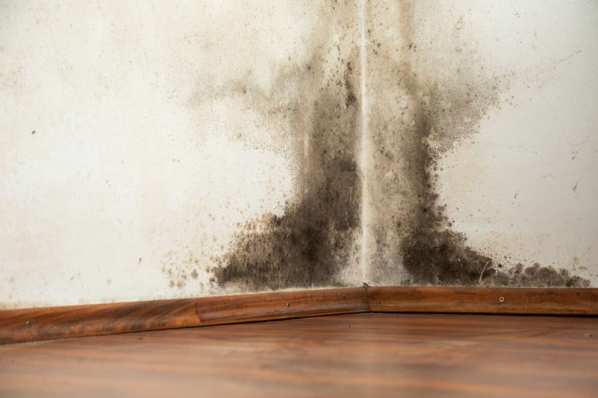 Moisture Resistant and Mold Resistant Drywall